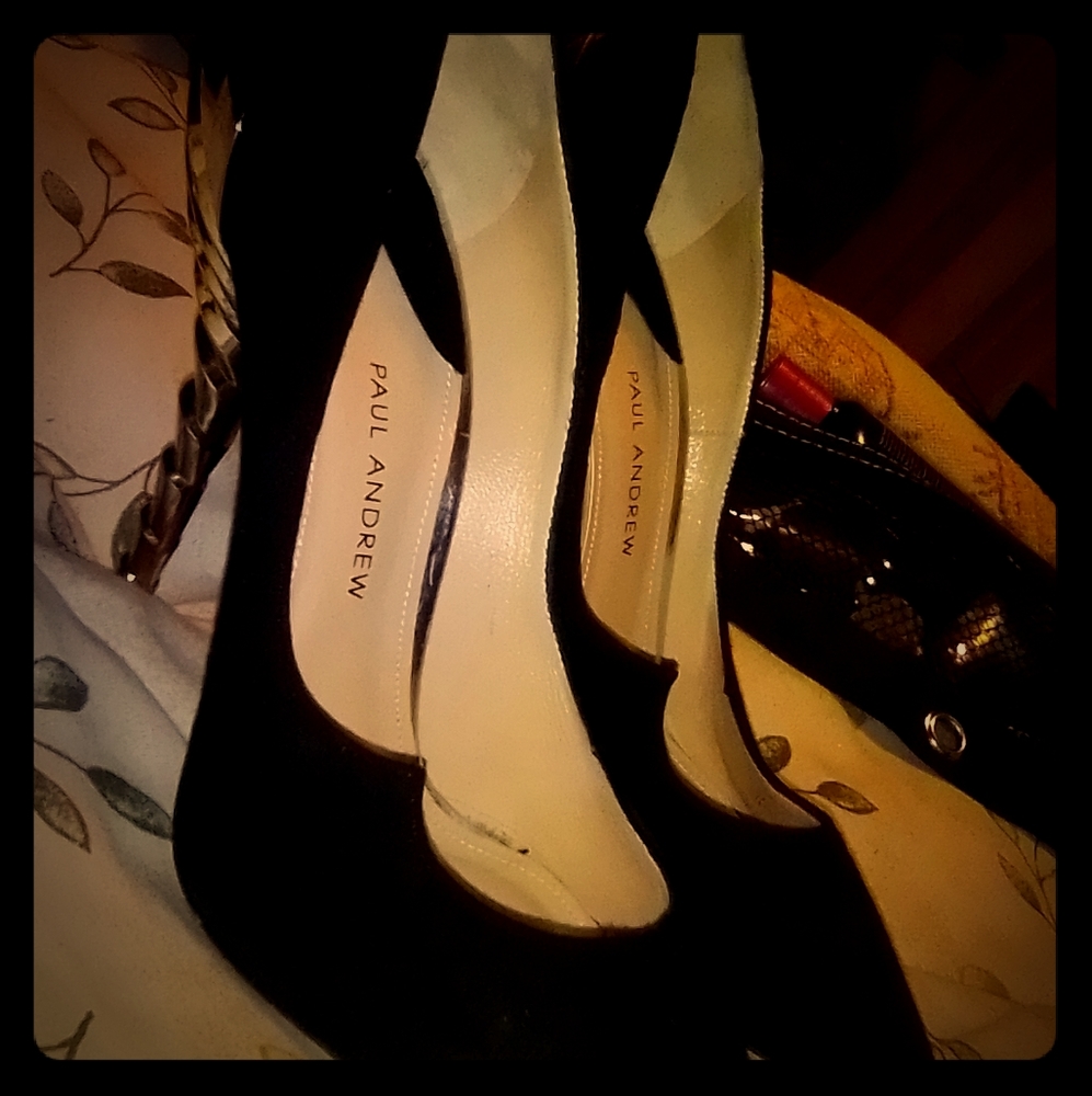 Paul Andrew Chrysler Zenadia kidskin pumps